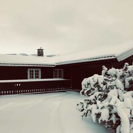 Vestlia Ski Geilo Εξωτερικό φωτογραφία