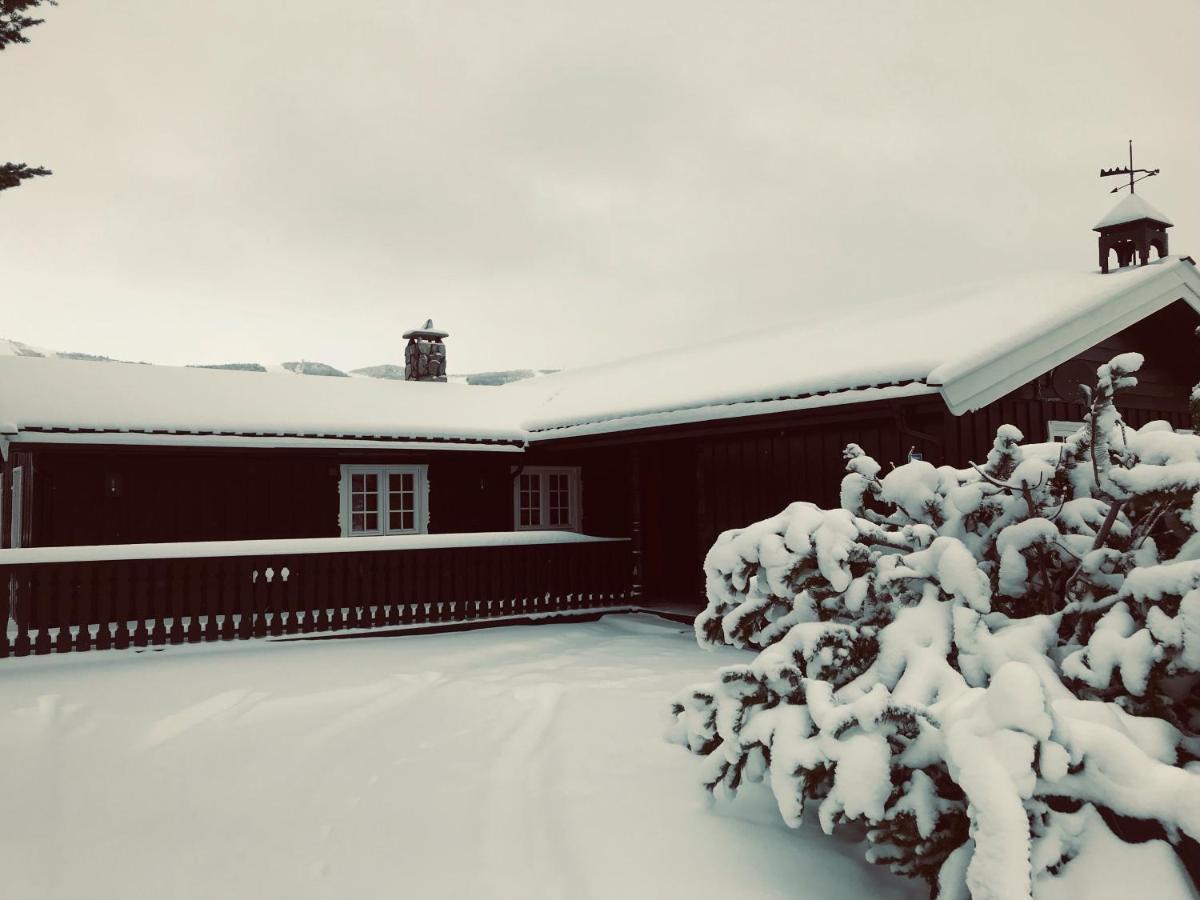 Vestlia Ski Geilo Εξωτερικό φωτογραφία